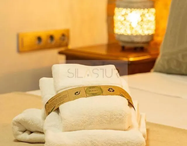 Apartment La Casina De Cimadevilla By Silastur